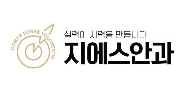 NNT SEO·AEO·GEO Clients - GS안과